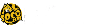 ảnh logo socolive