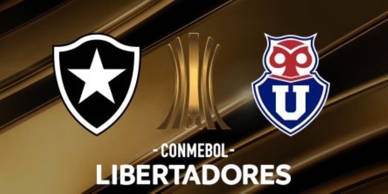 Soi kèo Botafogo vs De Chile 7h30 ngày 28/5 - Copa Libertadores