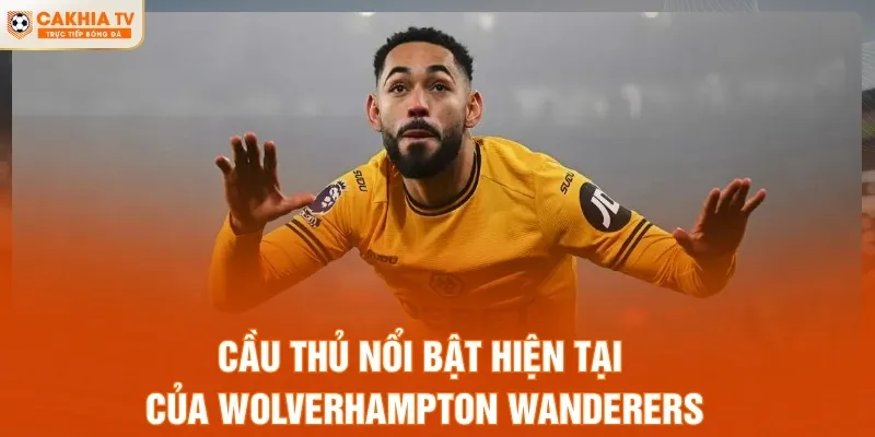 Cầu thủ nổi bật hiện tại của Wolverhampton Wanderers