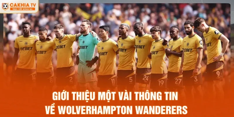Giới thiệu một vài thông tin về Wolverhampton Wanderers