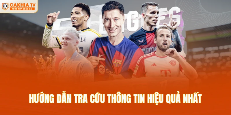 Hướng dẫn tra cứu thông tin hiệu quả nhất