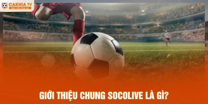 Giới thiệu chung Socolive là gì?