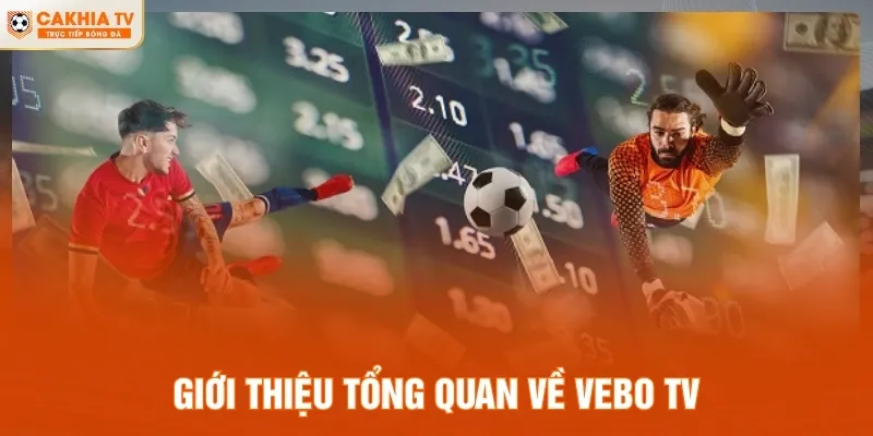 Giới thiệu tổng quan về VeBo TV