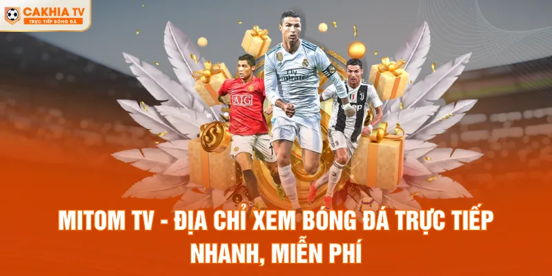 Mitom TV - Địa Chỉ Xem Bóng Đá Trực Tiếp Nhanh, Miễn Phí