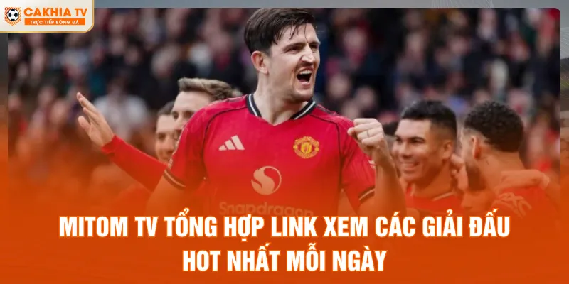 Mitom TV tổng hợp link xem các giải đấu hot nhất mỗi ngày