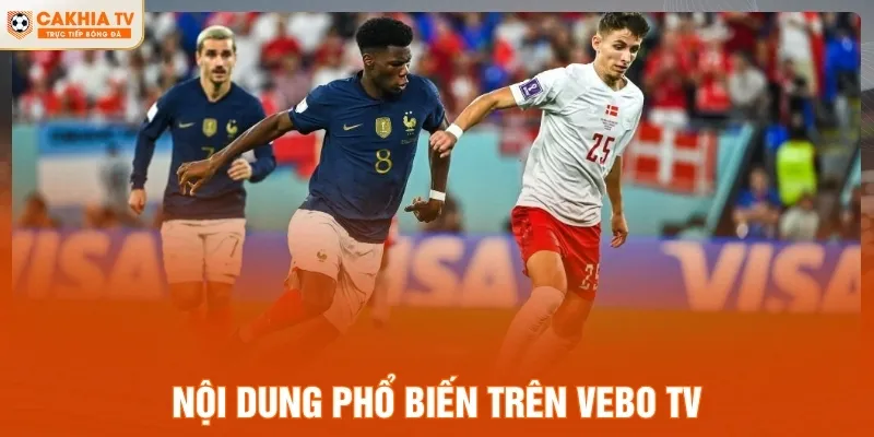 Nội dung phổ biến trên VeBo TV