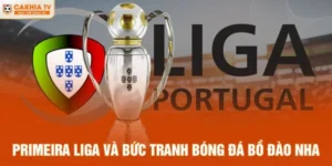 Primeira Liga Và Bức Tranh Bóng Đá Bồ Đào Nha
