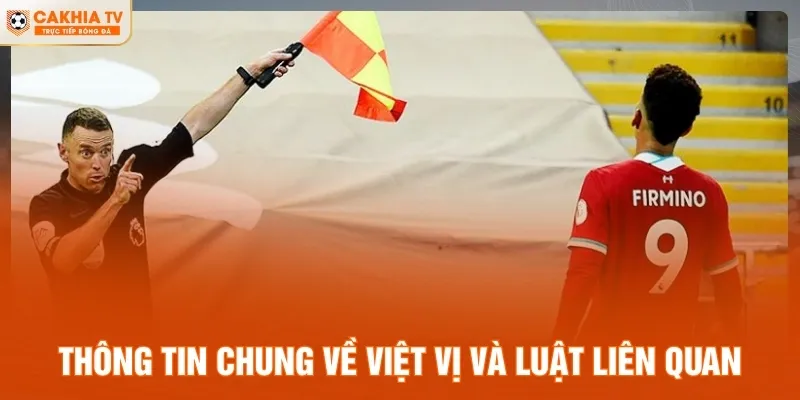 Thông tin chung về việt vị và luật liên quan