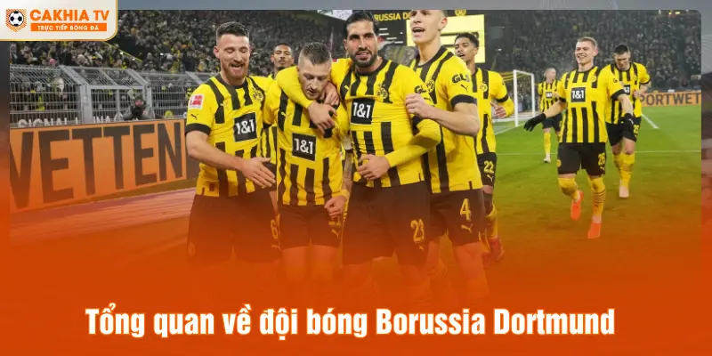Tổng quan về đội bóng Borussia Dortmund
