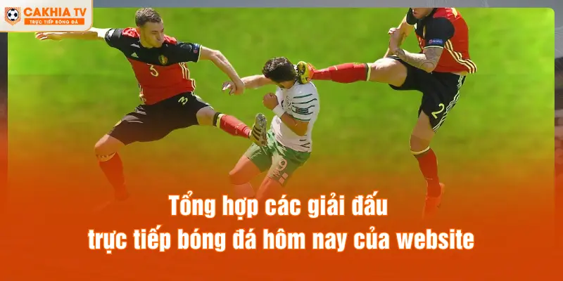 Tổng hợp các giải đấu trực tiếp bóng đá hôm nay của website
