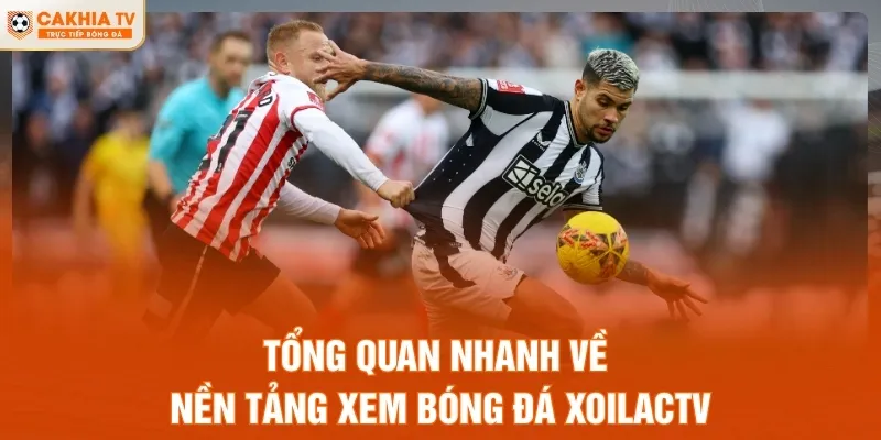 Tổng quan nhanh về nền tảng xem bóng đá Xoilac TV